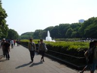 DSC00968.JPG